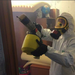 Уничтожение клопов в квартире. Майкоп